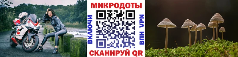 где купить наркотик  Фокино  Псилоцибиновые грибы мухоморы 